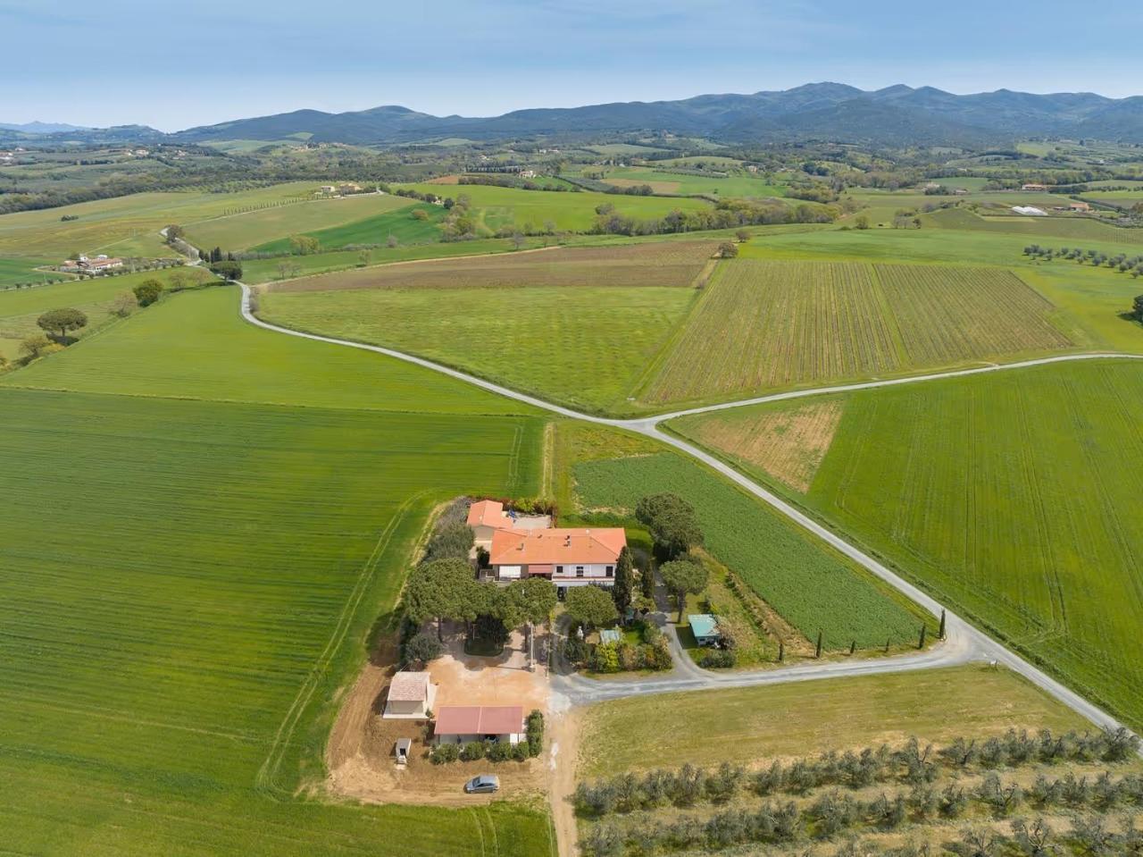 Agriturismo I Debbi Bibbona Exterior photo